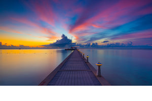 [High Quality Metal Prints & Acrylic Prints] - Level Fine Art