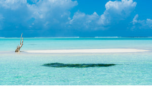 [High Quality Metal Prints & Acrylic Prints] - Level Fine Art